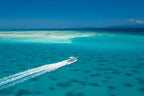 Ultimate East Coast Odyssey: 14 - 16 Days Sydney to Cairns with Islands & Rainforests - Zero Trace Tours