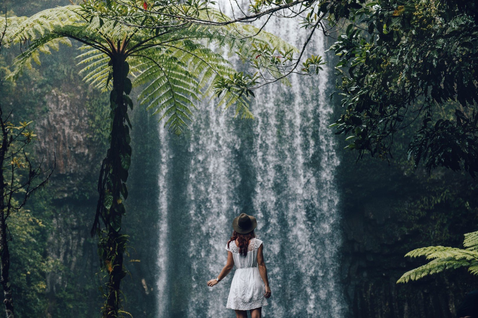 Ultimate East Coast Odyssey: 14 - 16 Days Sydney to Cairns with Islands & Rainforests - Zero Trace Tours