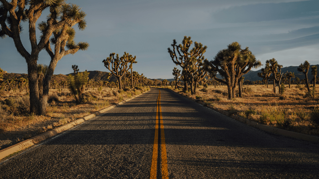 Ultimate Western USA: 9/16/18 - Day Parks, Peaks & Pacific Quest - Zero Trace Tours