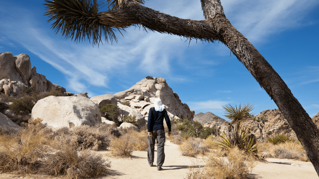 Ultimate Western USA: 9/16/18 - Day Parks, Peaks & Pacific Quest - Zero Trace Tours