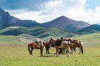 Unlock Central Asia: 14 - 23 Day Silk Road Epic - Zero Trace Tours