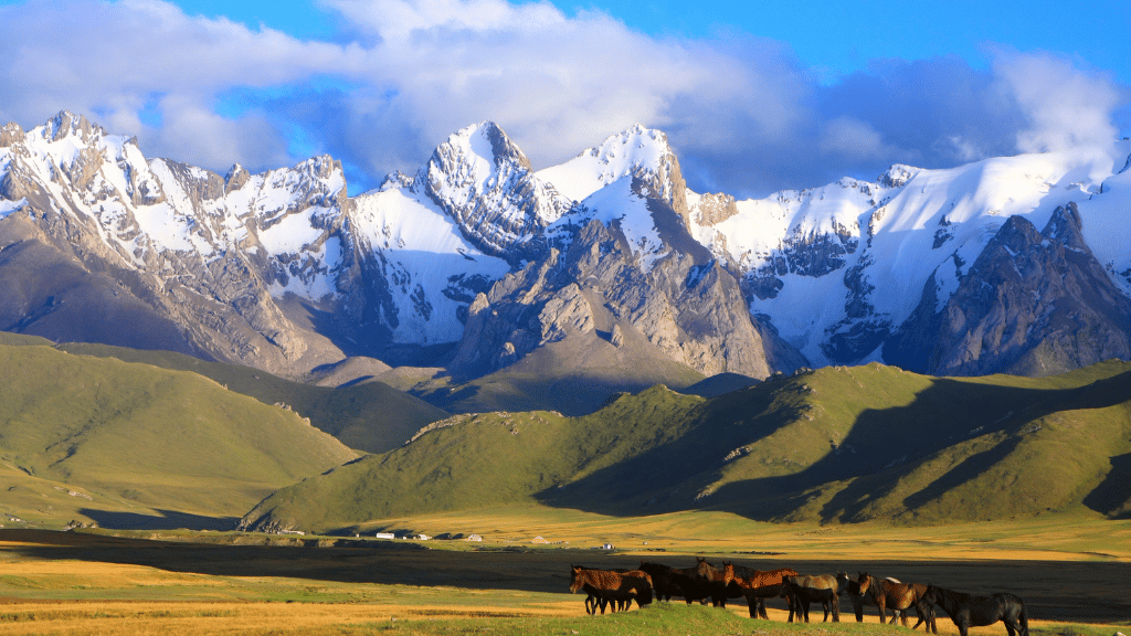 Unlock Central Asia: 14 - 23 Day Silk Road Epic - Zero Trace Tours