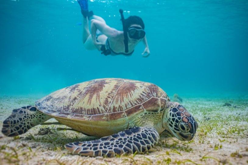 Unlock Philippines Paradise: 7 - 10 Days from Manila to Palawan Caves & Bays - Zero Trace Tours