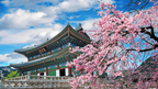 Unlock South Korea: 9 - 13 Days from Seoul to Jeju Cliffs & Temples - Zero Trace Tours
