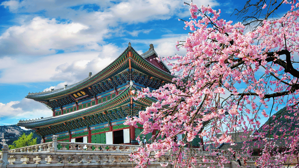 Unlock South Korea: 9 - 13 Days from Seoul to Jeju Cliffs & Temples - Zero Trace Tours