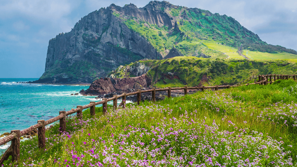 Unlock South Korea: 9 - 13 Days from Seoul to Jeju Cliffs & Temples - Zero Trace Tours