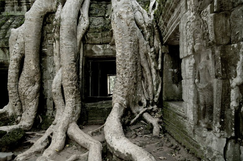 Unlock Vietnam - Cambodia: 17 - Day Hanoi to Angkor & Mekong Adventure - Zero Trace Tours