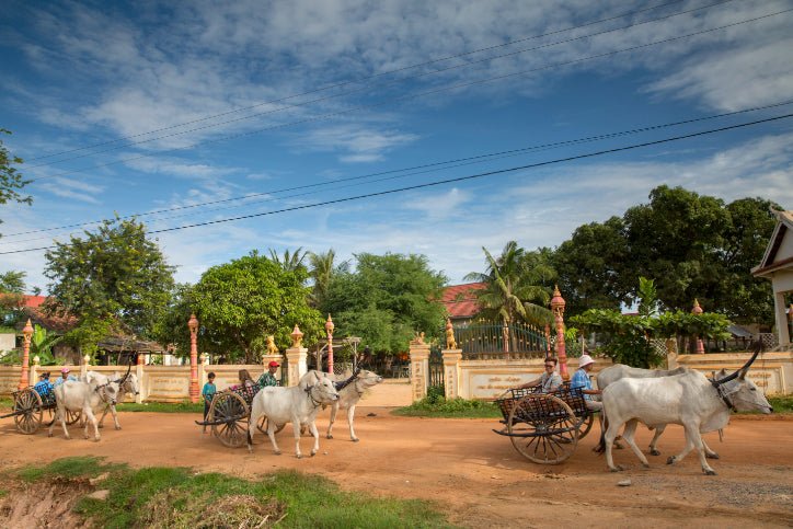 Unlock Vietnam - Cambodia: 17 - Day Hanoi to Angkor & Mekong Adventure - Zero Trace Tours