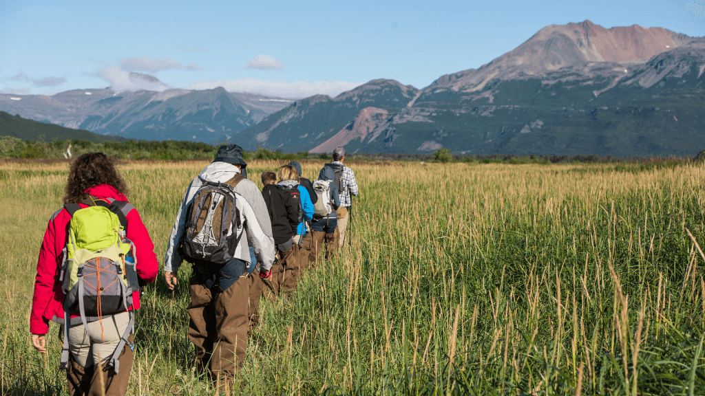 Untamed Alaskan Ridges: 14 - Day Ice Treks, Kayaks & Wild Wonders - Zero Trace Tours