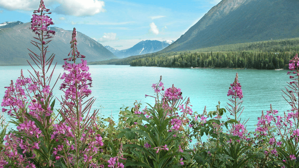 Untamed Alaskan Ridges: 14 - Day Ice Treks, Kayaks & Wild Wonders - Zero Trace Tours