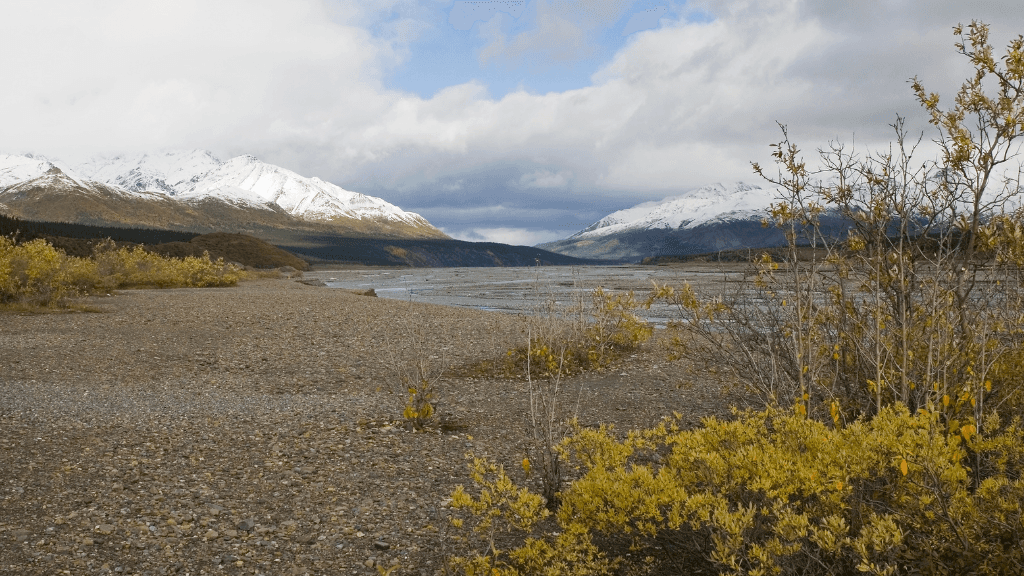 Untamed Alaskan Ridges: 14 - Day Ice Treks, Kayaks & Wild Wonders - Zero Trace Tours