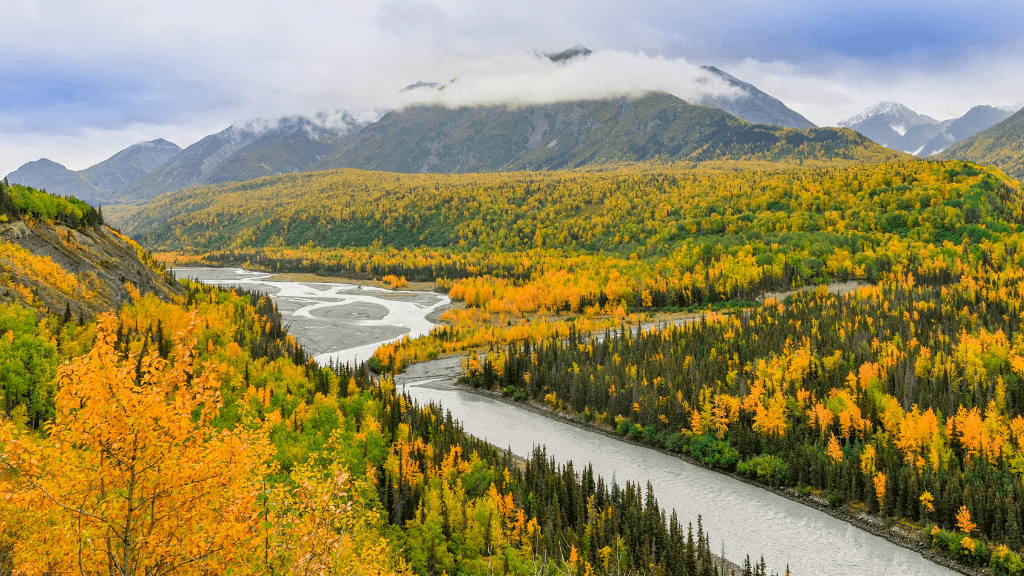 Untamed Alaskan Ridges: 14 - Day Ice Treks, Kayaks & Wild Wonders - Zero Trace Tours