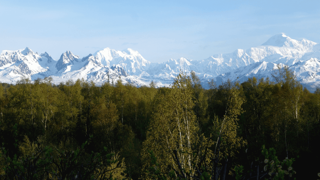 Untamed Alaskan Ridges: 14 - Day Ice Treks, Kayaks & Wild Wonders - Zero Trace Tours