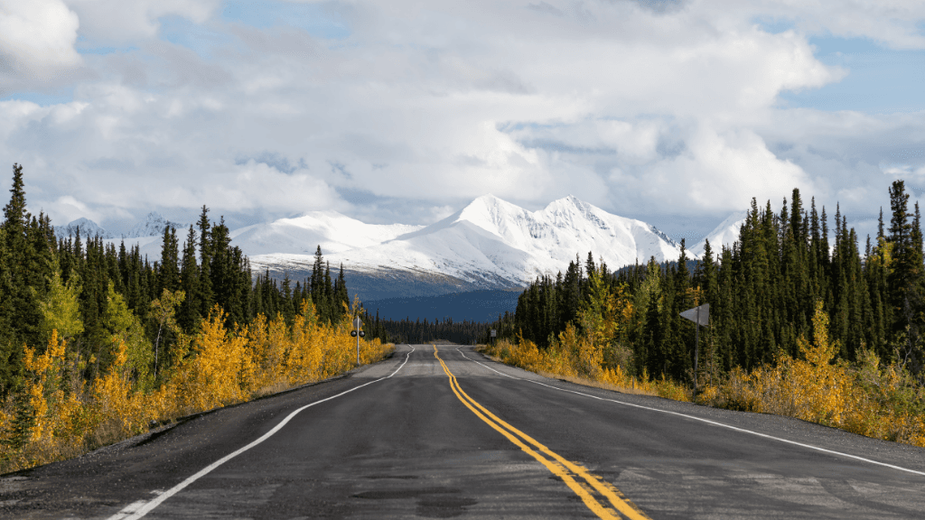 Untamed Alaskan Ridges: 14 - Day Ice Treks, Kayaks & Wild Wonders - Zero Trace Tours