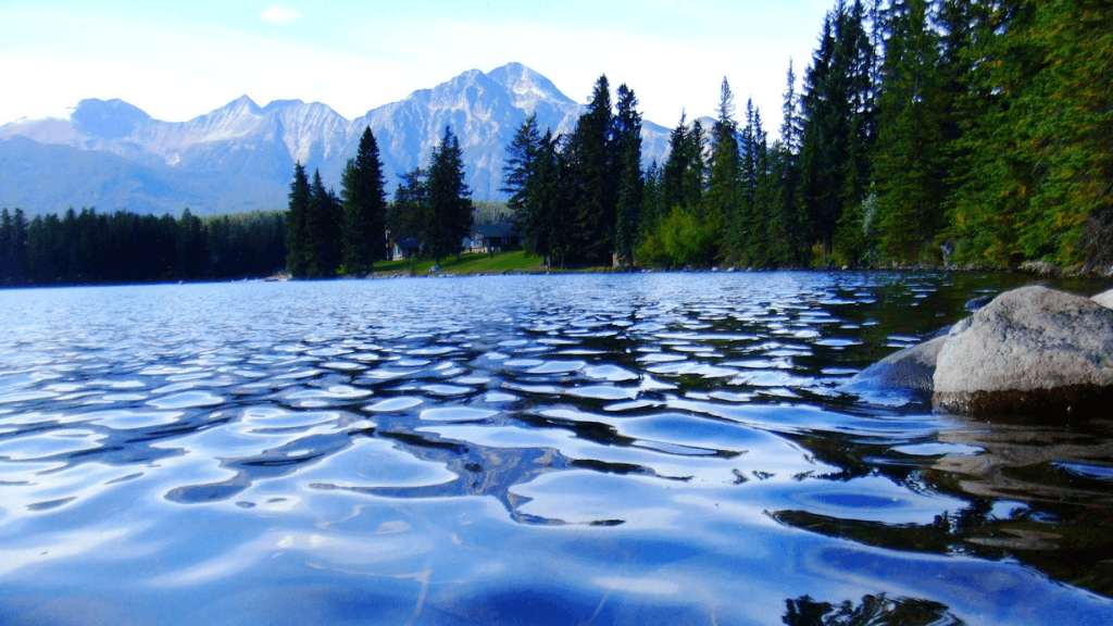 Untamed Alaskan Ridges: 14 - Day Ice Treks, Kayaks & Wild Wonders - Zero Trace Tours