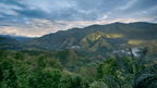 Unveil Sulawesi's Soul: 9 - Day Tana Toraja Culture & Coffee Quest - Zero Trace Tours