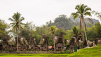 Unveil Sulawesi's Soul: 9 - Day Tana Toraja Culture & Coffee Quest - Zero Trace Tours
