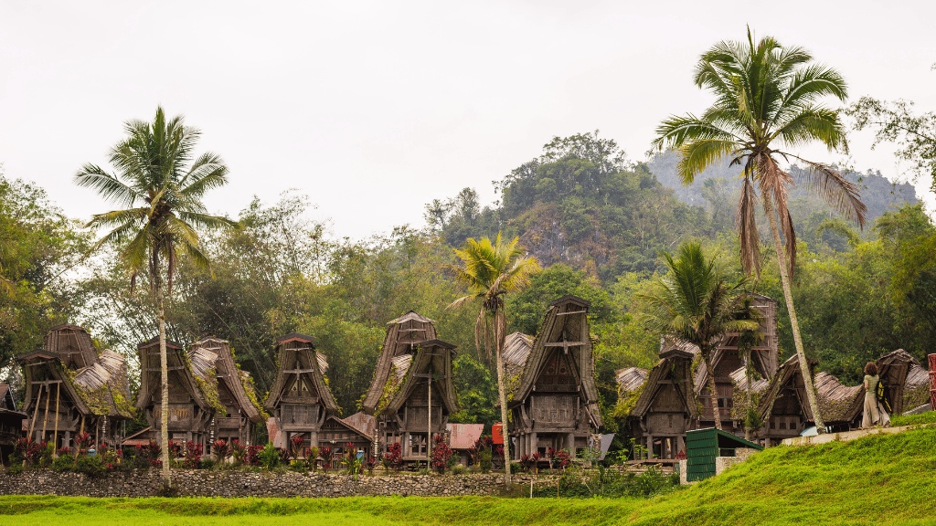 Unveil Sulawesi's Soul: 9 - Day Tana Toraja Culture & Coffee Quest - Zero Trace Tours