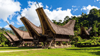 Unveil Sulawesi's Soul: 9 - Day Tana Toraja Culture & Coffee Quest - Zero Trace Tours