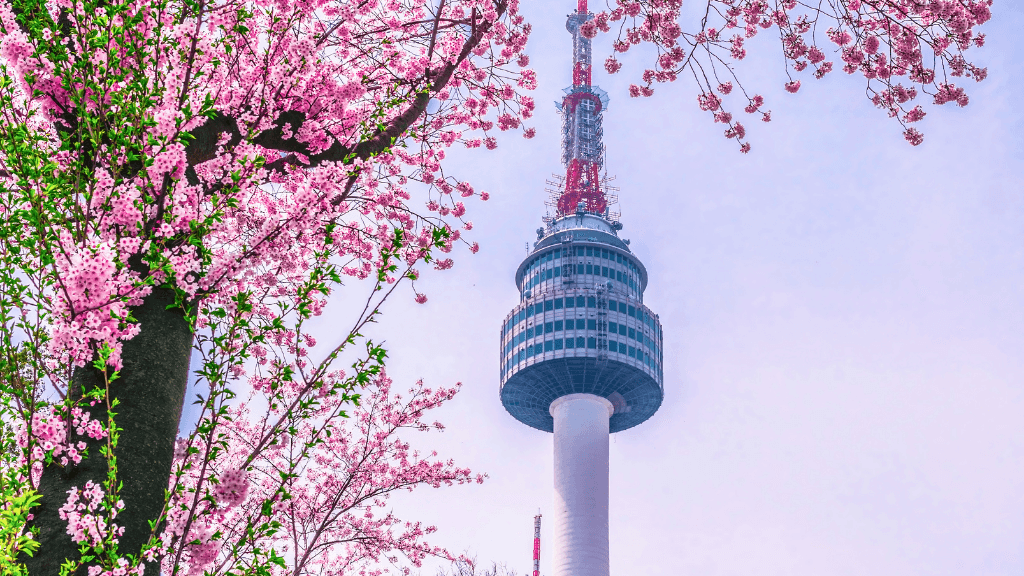 Vibrant Icons of South Korea | 10/13 Days of K - Wave & Ancient Ways - Zero Trace Tours