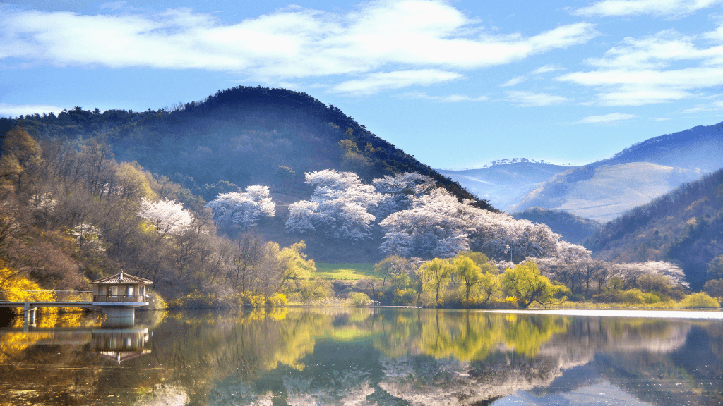 Vibrant Icons of South Korea | 10/13 Days of K - Wave & Ancient Ways - Zero Trace Tours