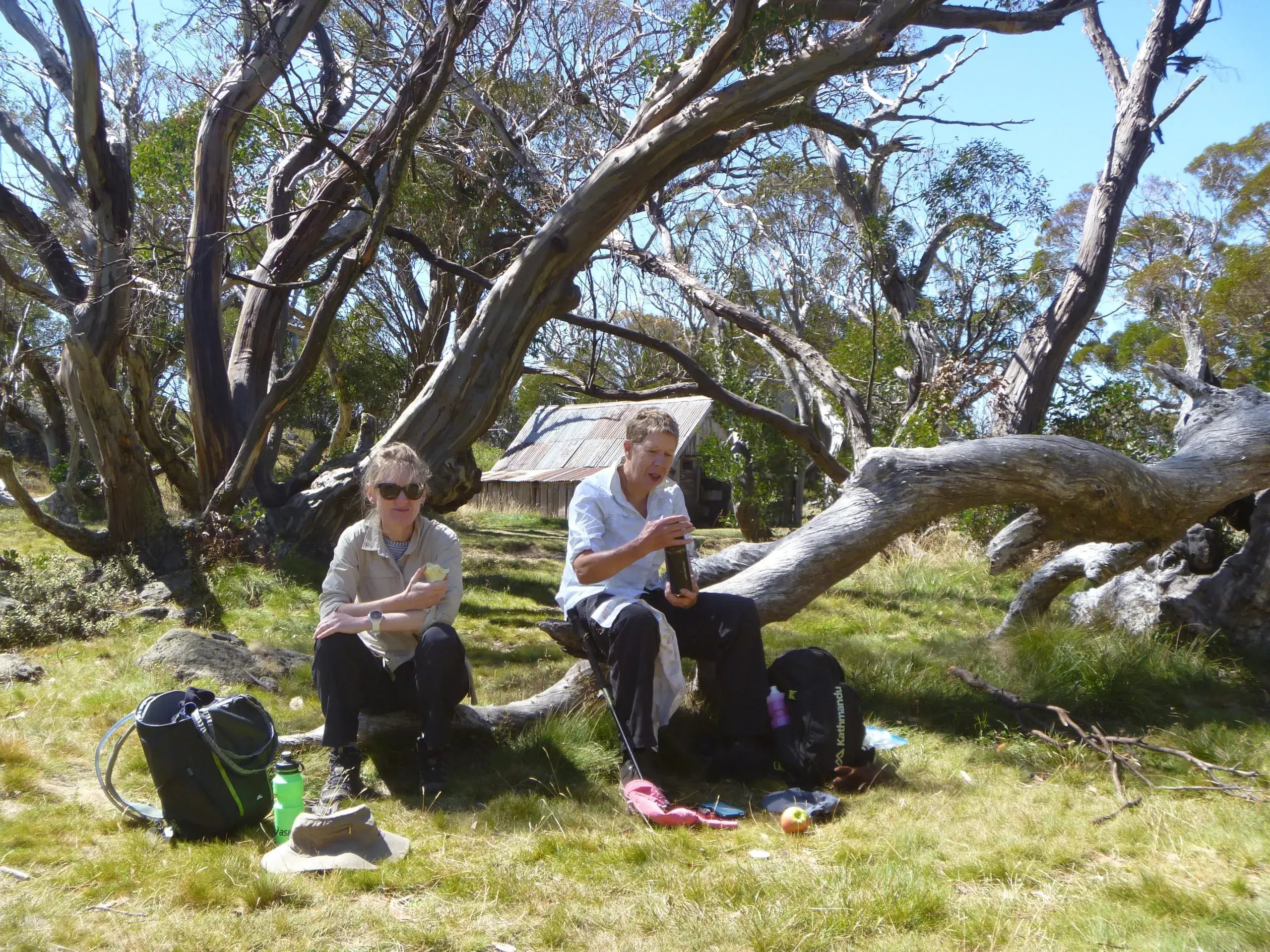 Group enjoying a break during the High Country Horizons hiking tour in the Victorian Alps.