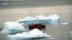 Viking Trails & Icy Fjords: 16 - Day Iceland to Labrador Expedition - Zero Trace Tours