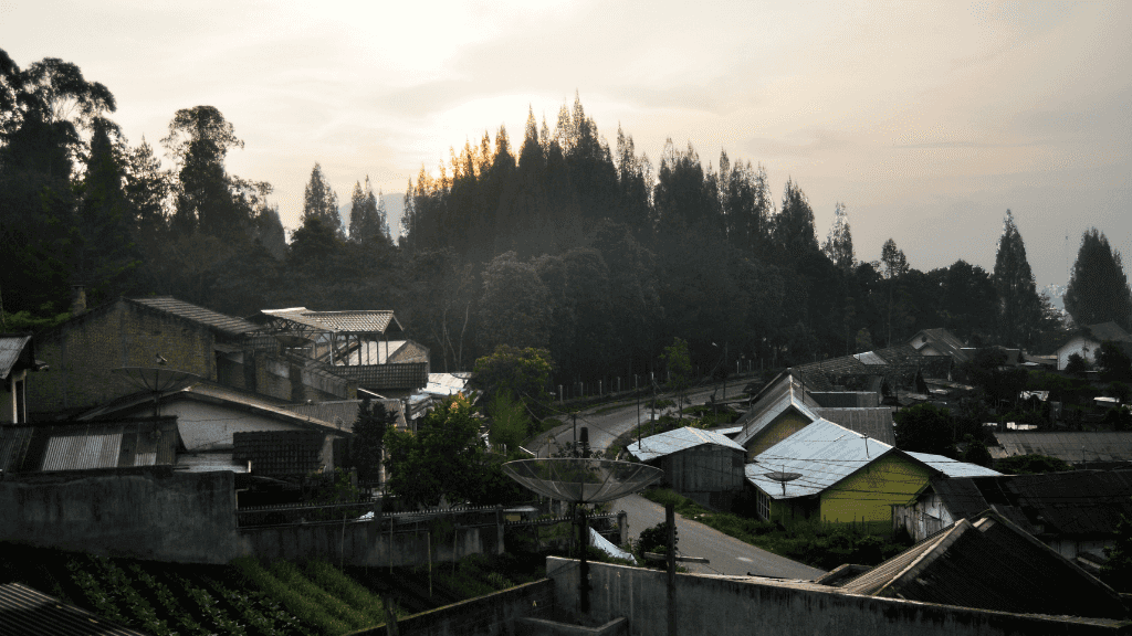 Wild Sumatran Orangutans: 8 - Day Jungle & River Loop Expedition - Zero Trace Tours