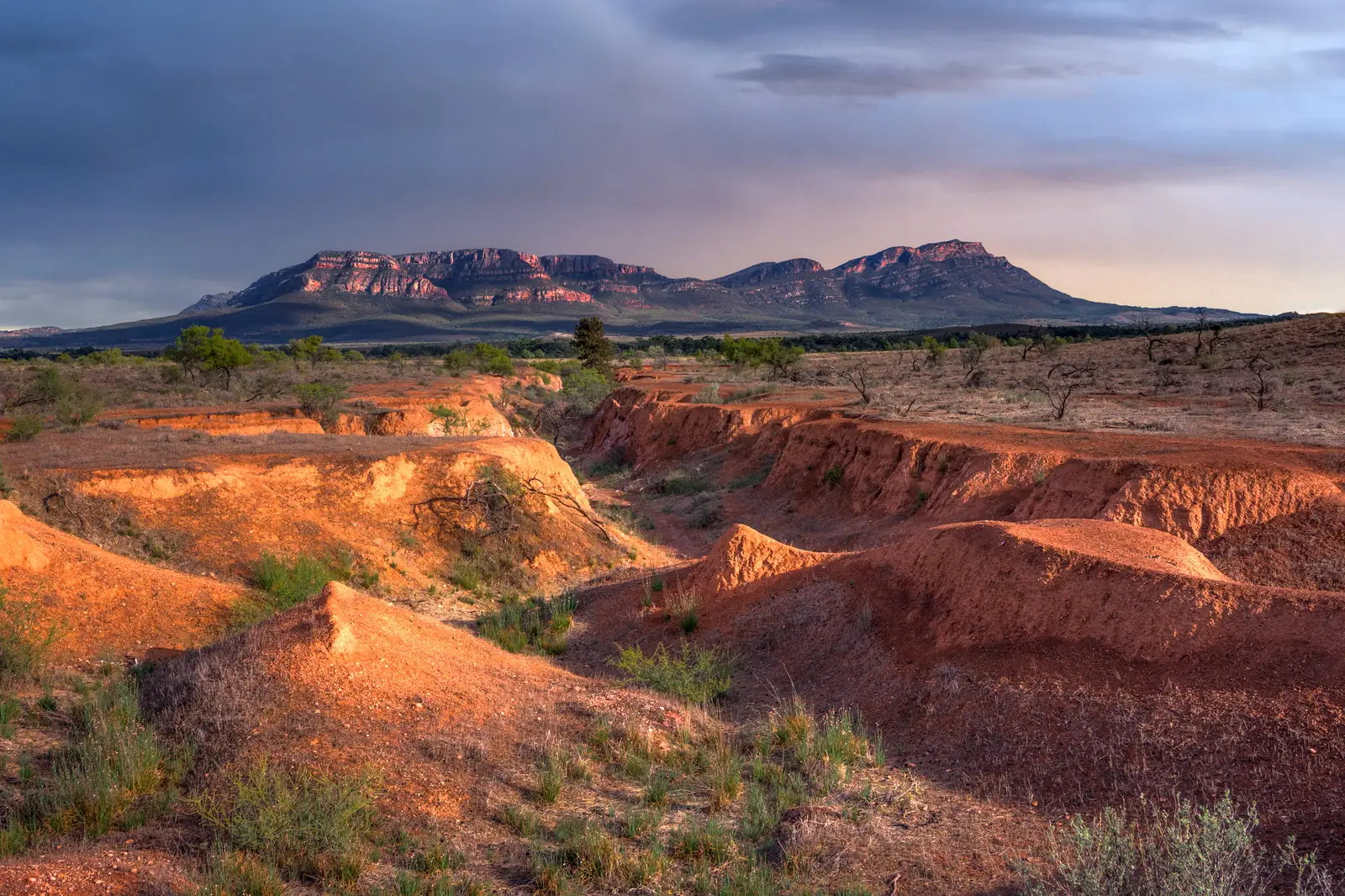 Flinders Ranges, Lake Eyre, Birdsville & Marree 5 Day Eco Tour from Adelaide | Outback Safari